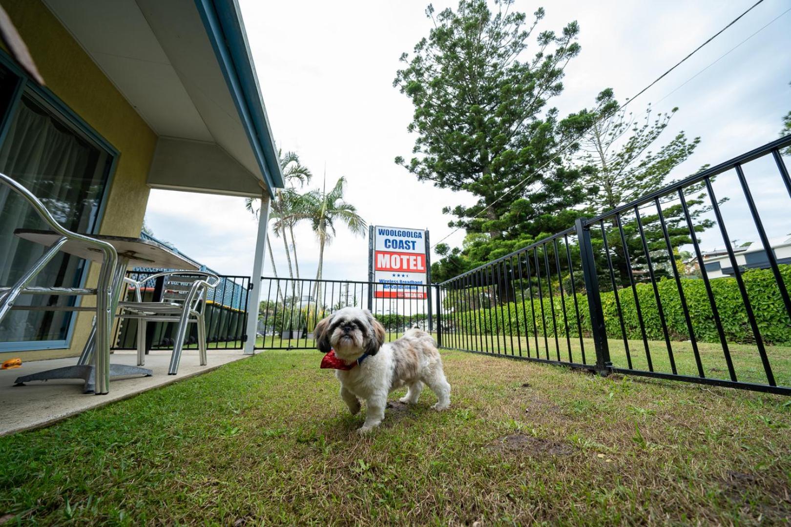 Woolgoolga Coast Motel Δωμάτιο φωτογραφία